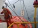 Seafloat_Gallery200907280033