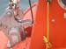 Seafloat_Gallery200907280035